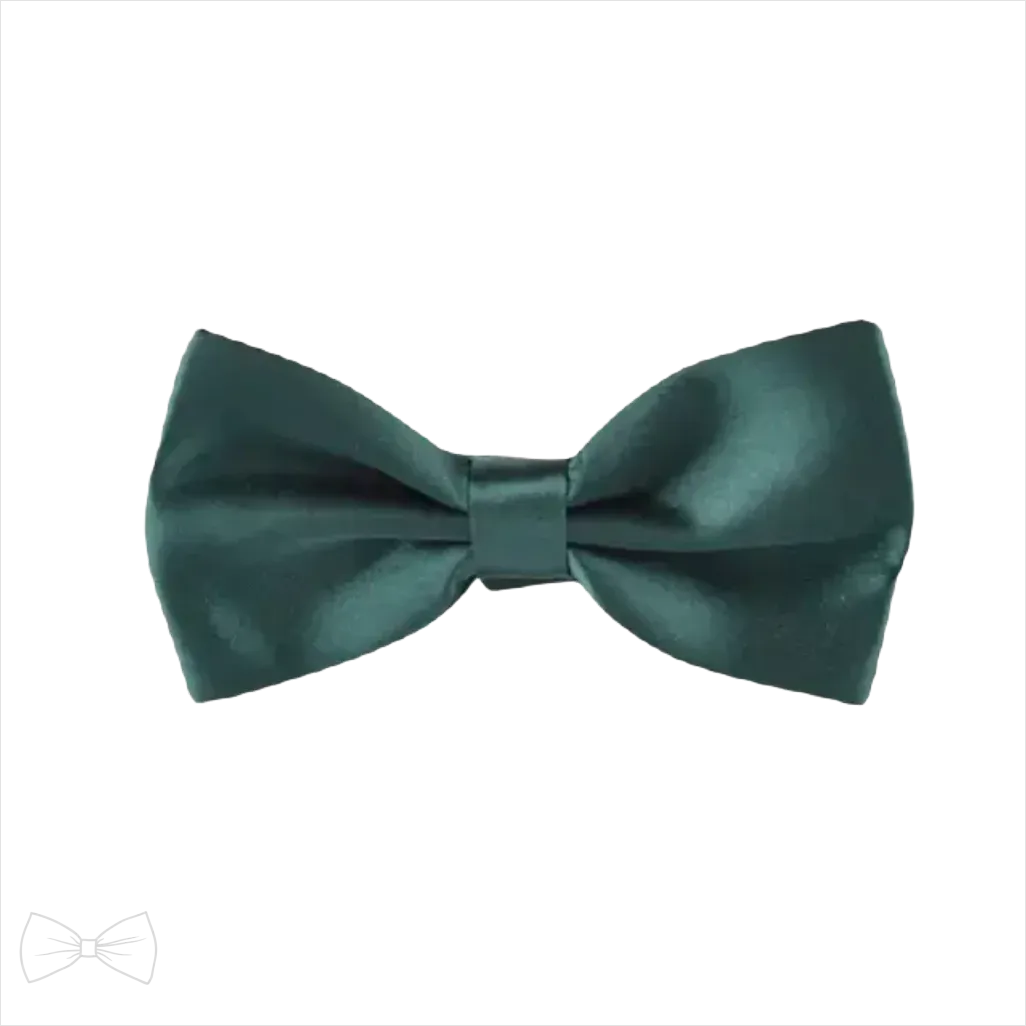 Noeud Papillon Vert Bleu