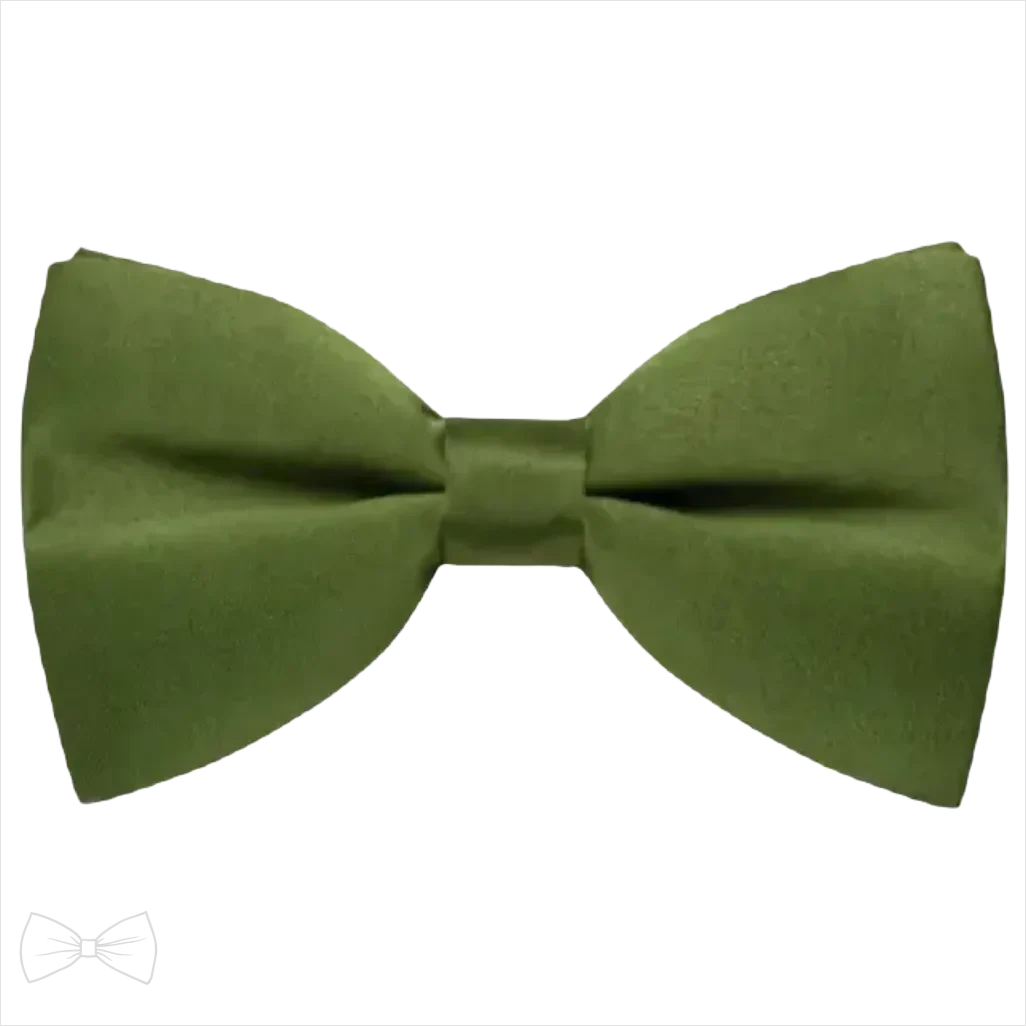 Noeud Papillon Costume Vert