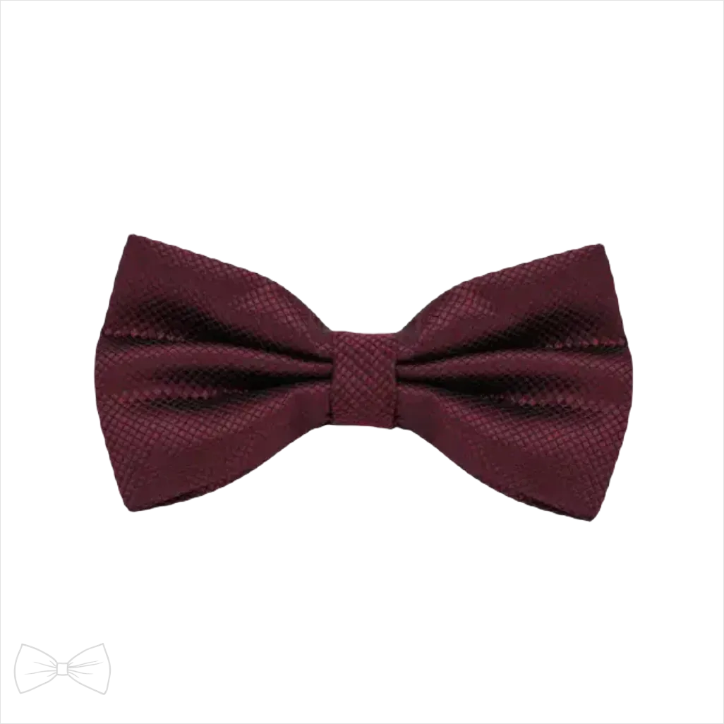 Noeud Papillon Homme Bordeaux